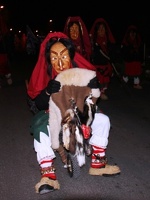 nachtumzug kalrobennacht 20170607 1022058786