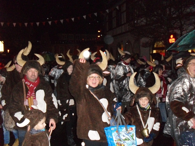 nachtumzug 22 20180130 1694715153